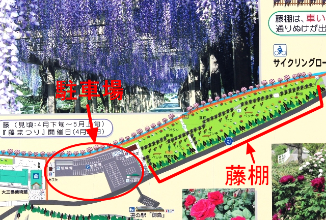 大三島藤公園マップ