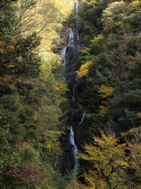 紅葉の常清滝を滝見台から望む