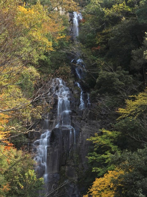 紅葉の常清滝の上部を滝見台から望む
