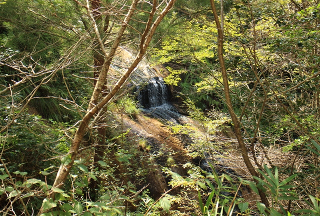 木々に隠れた湯舟の滝