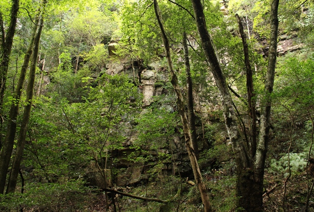 「女王滝」左側の岩壁