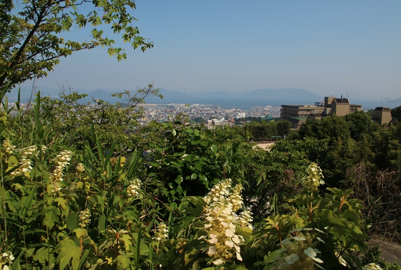 観音寺、アジサイの植えられた本堂の北東の丘からの展望