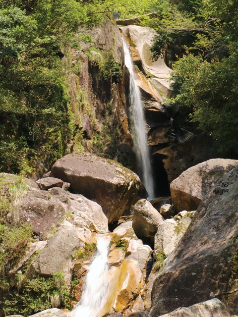 盆徳滝