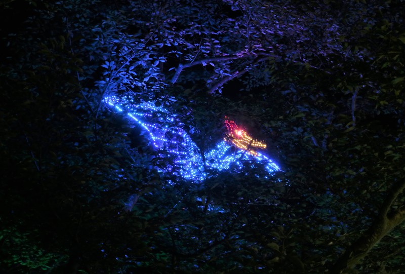 「花と光のページェント」光り輝く恐竜の世界（広島市植物公園）
