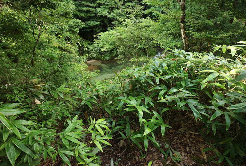 岩井谷の大龍頭、遡行への入口