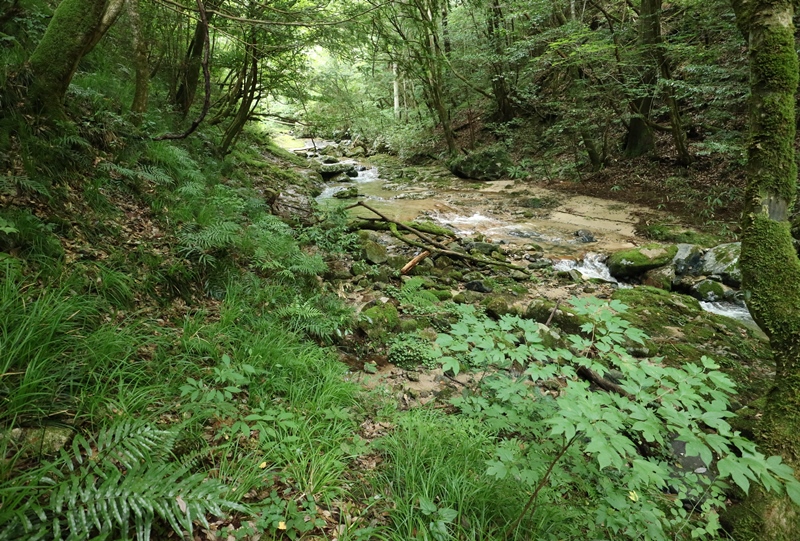 巻き道から再び岩井谷川へ降りる