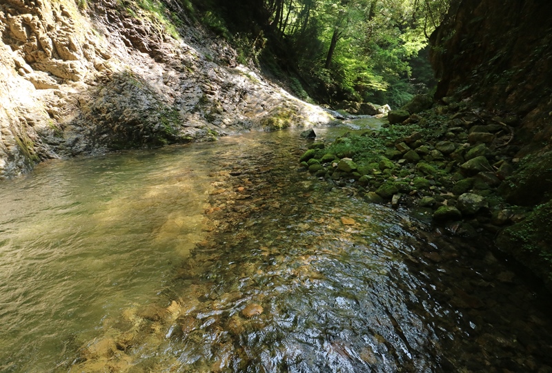 岩井谷の大龍頭の滝つぼ