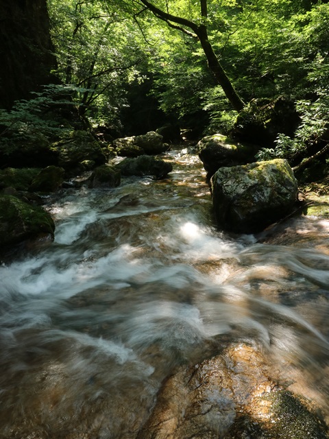 岩井谷川を下り帰路に着く