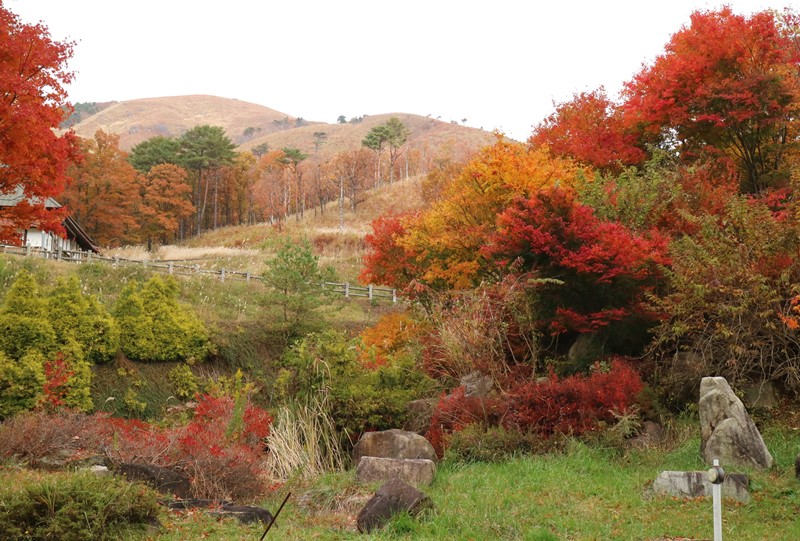 深入山の紅葉