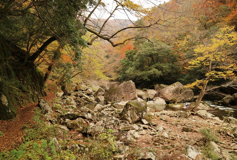 三段峡、三段滝へと向かう遊歩道の紅葉