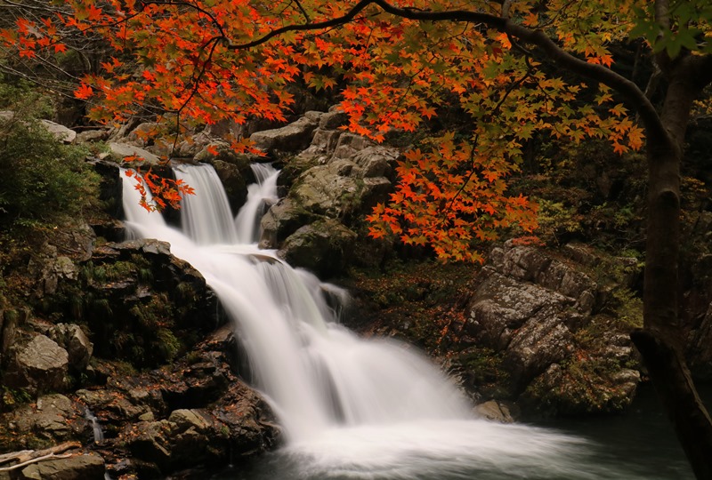 三段峡、三段滝の紅葉