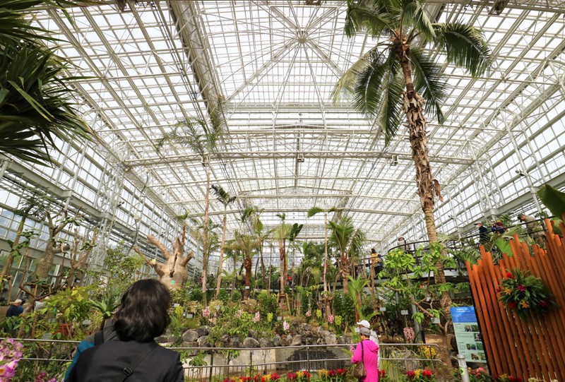 広島市植物公園の大温室