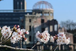 広島平和公園の桜開花状況2018