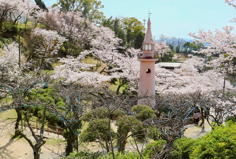 千光寺公園、サル山と桜と藤棚
