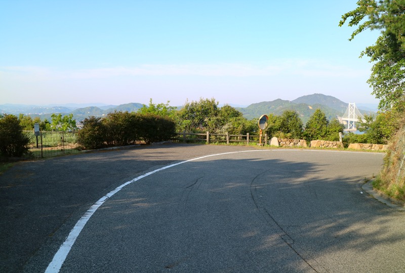因島、白滝フラワーラインの除虫菊畑