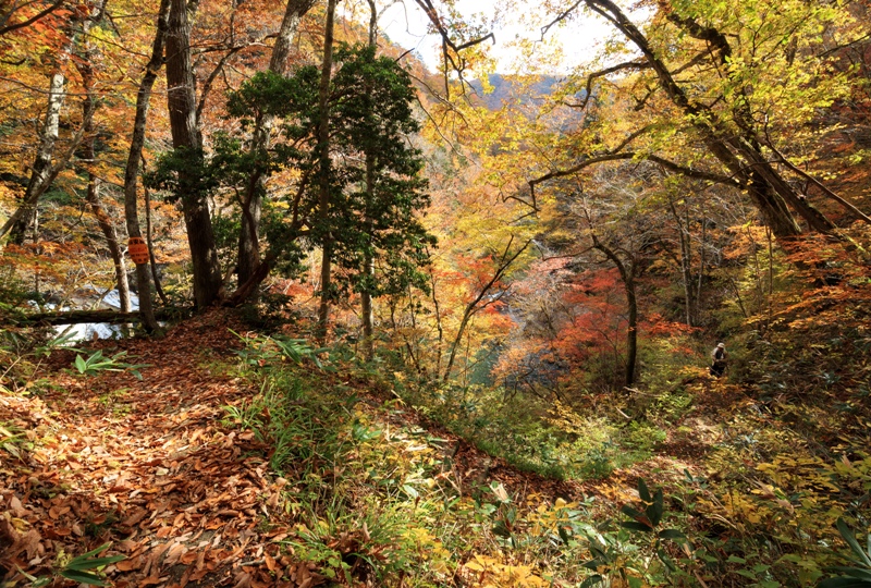 三ツ滝（三段峡）へと向かう遊歩道
