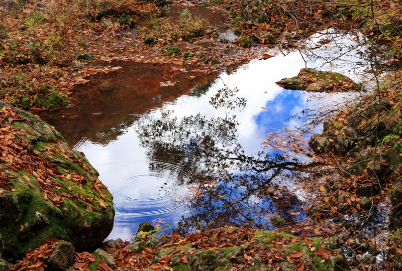 三ツ滝周辺の水たまり
