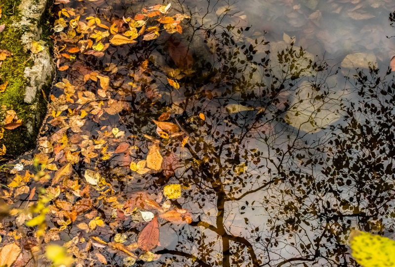 三ツ滝周辺の水たまり