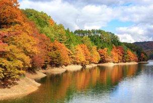 『聖湖（樽床ダム）』紅葉を楽しみながらダム湖を周遊