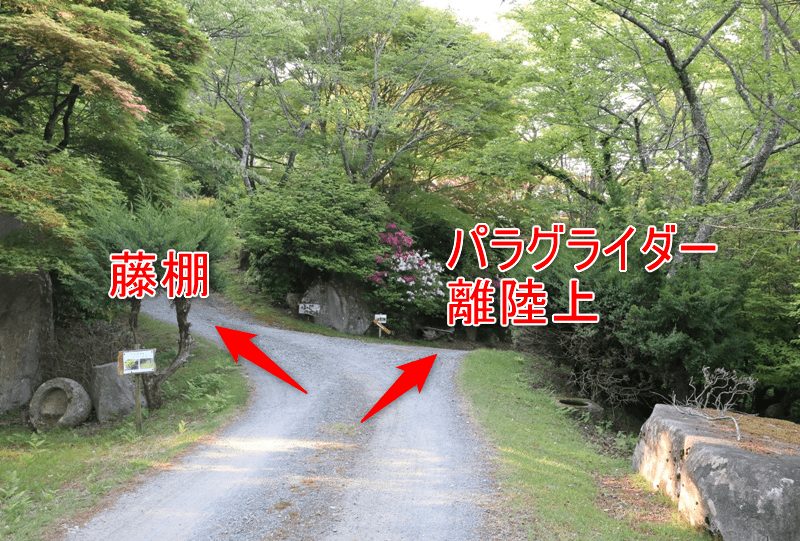 神ノ倉山公園、藤棚とパラグライダー離陸場の分岐