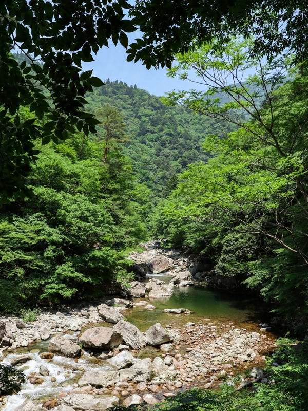 初夏の三段峡