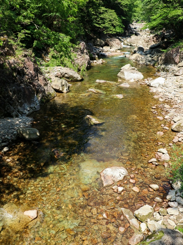 初夏の三段峡、黒淵荘の吊橋からの上流の眺め