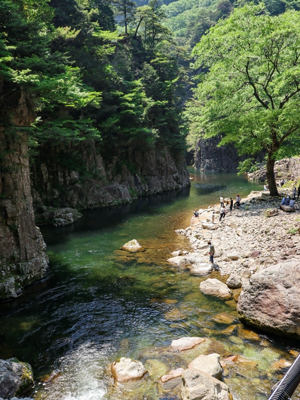 初夏の三段峡、黒淵荘の吊橋からの下流の眺め