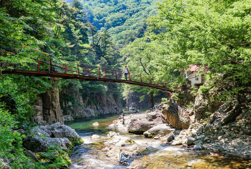 初夏の三段峡、黒淵荘の吊橋