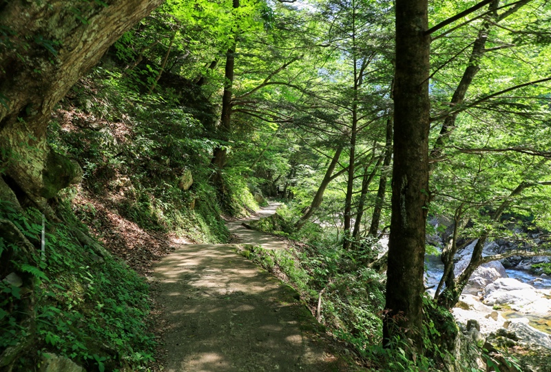 初夏の三段峡、帰路に着く
