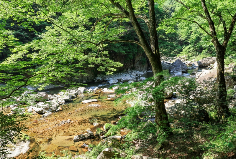 初夏の三段峡、美しい渓谷