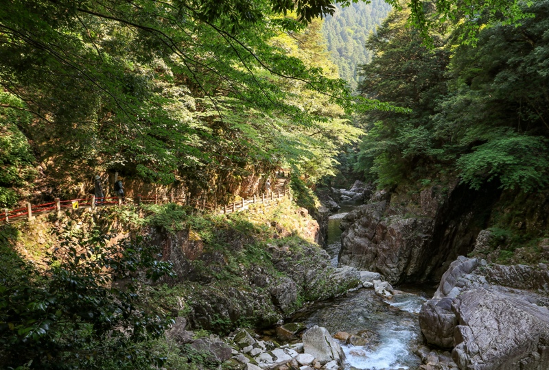 初夏の三段峡、味のある遊歩道