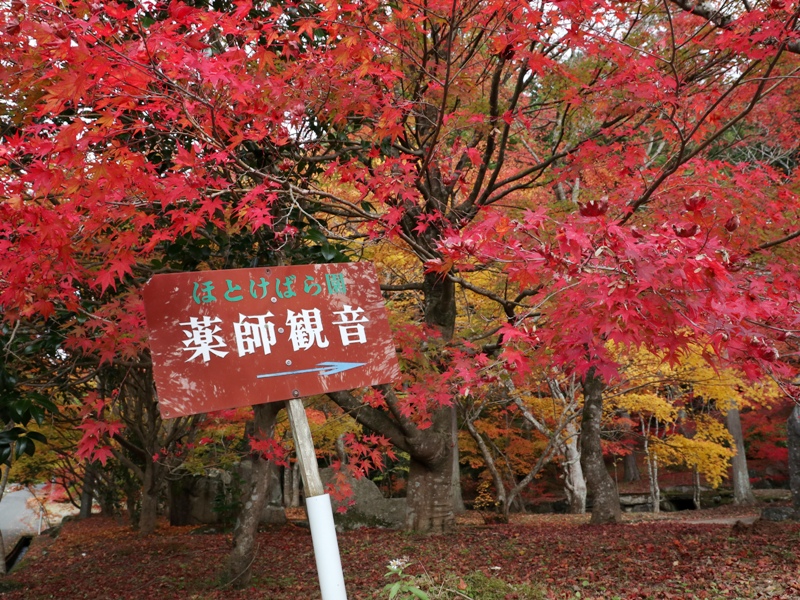 ほとけばら遊園、入口(北広島町大朝)