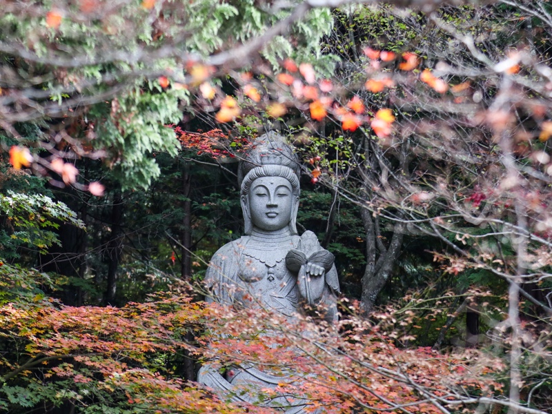 『ほとけばら遊園』聖観音菩薩