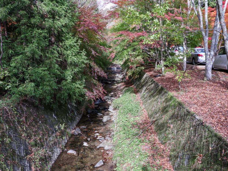 『ほとけばら遊園』目の前の川にもモミジが植えられている