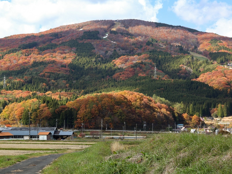 吉和、女鹿平山の紅葉