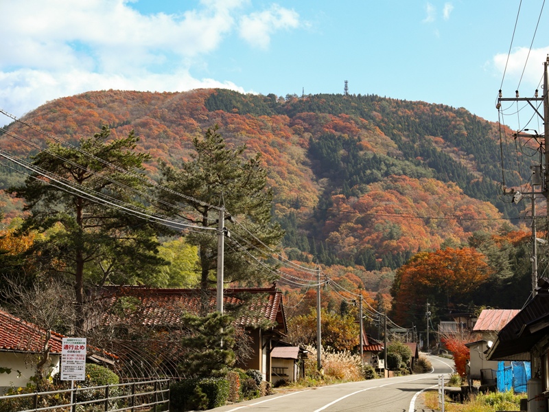 吉和展望台へ向かう道中の紅葉