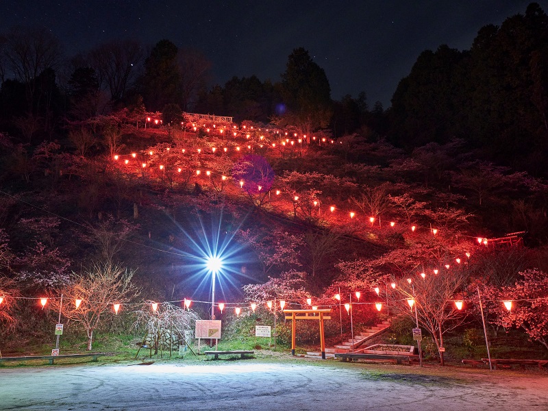 中山城跡公園のライトアップ