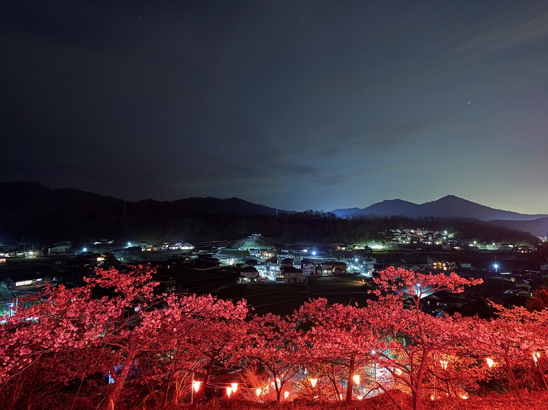中山城跡公園のライトアップ