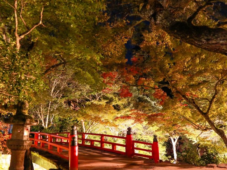 宮島、紅葉谷公園がライトアップで美しく浮かび上がる！ | あんきにしとるかの？