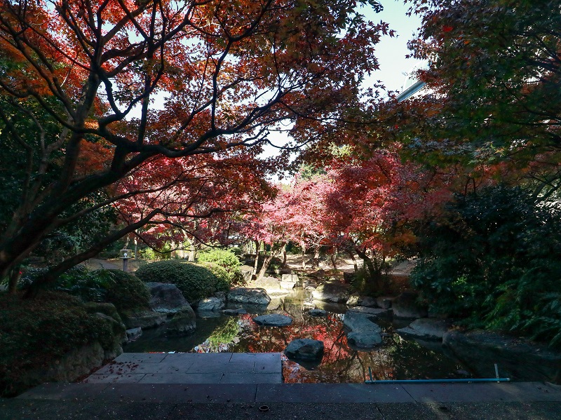 「西部埋立第五公園」日本庭園の紅葉（商工センター）