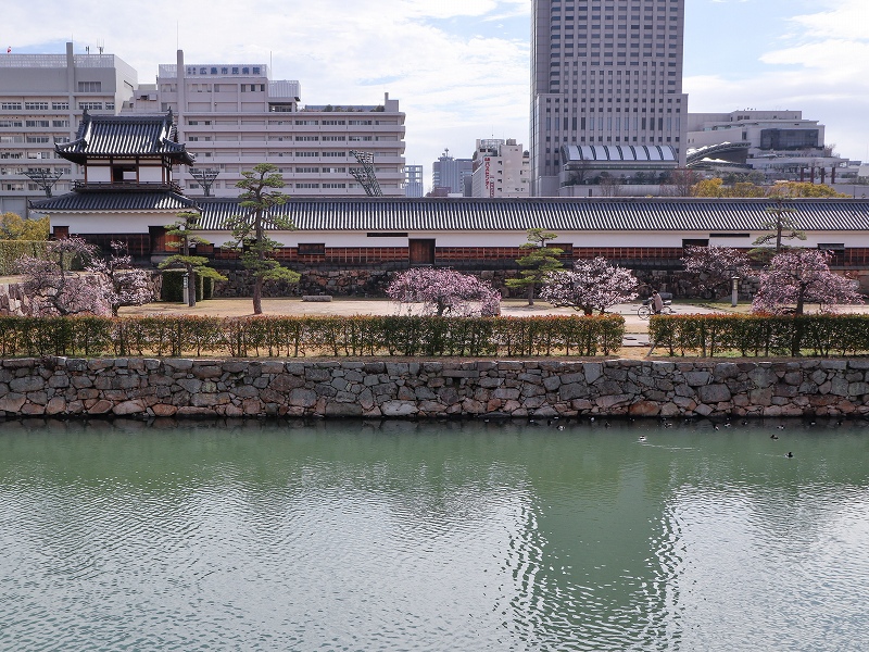 広島城「二の丸」梅の花