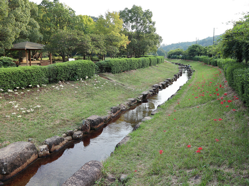 堂々公園「堂々川と彼岸花」