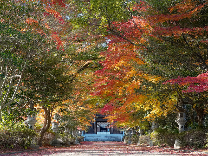 速谷神社の紅葉