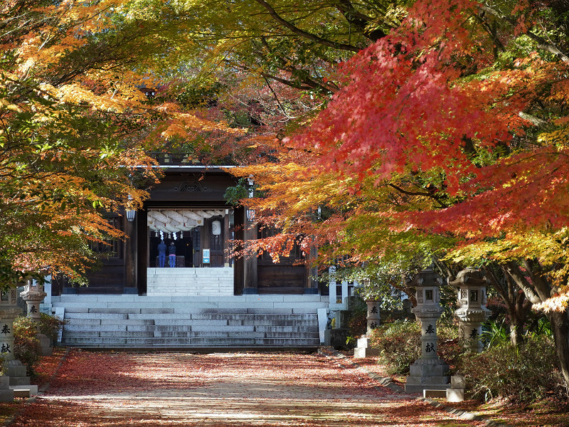 速谷神社の山門と紅葉
