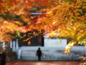 速谷神社の山門と紅葉