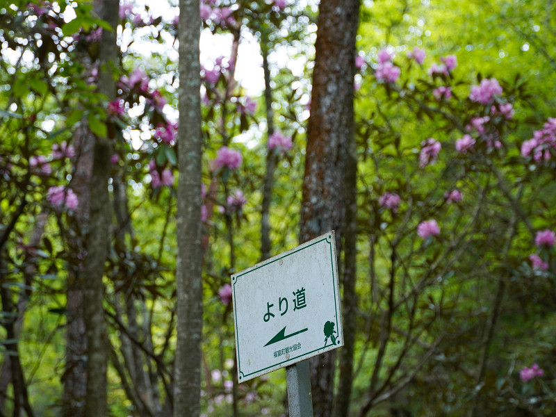 クロボヤ峡、遊歩道「より道」