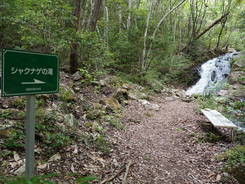 シャクナゲの滝（クロボヤ峡）
