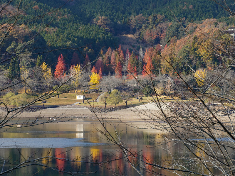 秋の土師ダム、八千代湖