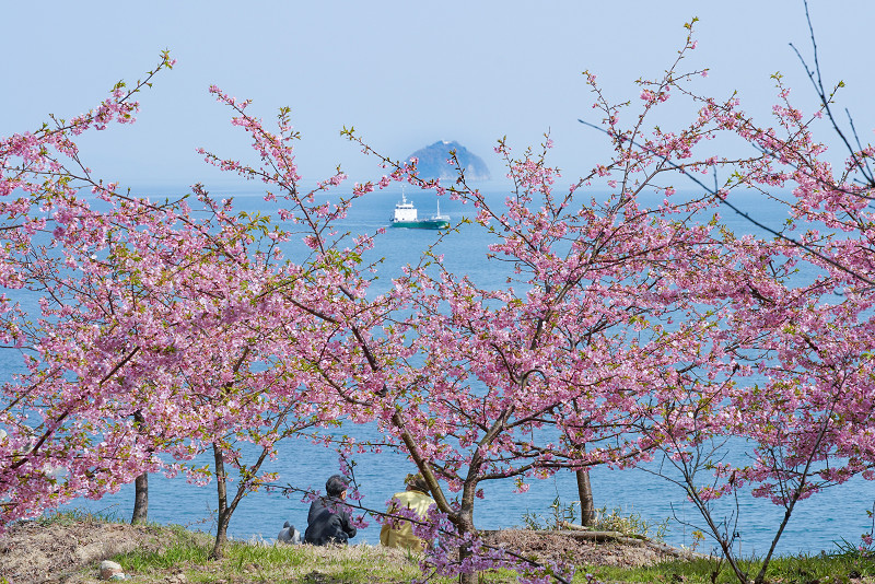 因島「船隠し公園」沖には百貫島